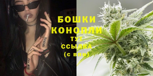 эйфоретик Осинники