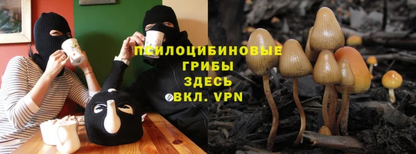 герыч Корсаков