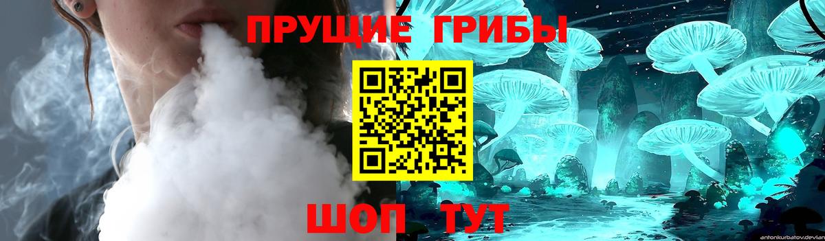 Галлюциногенные грибы прущие грибы Кохма