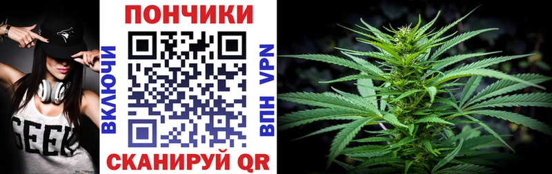 Конопля индика Кохма